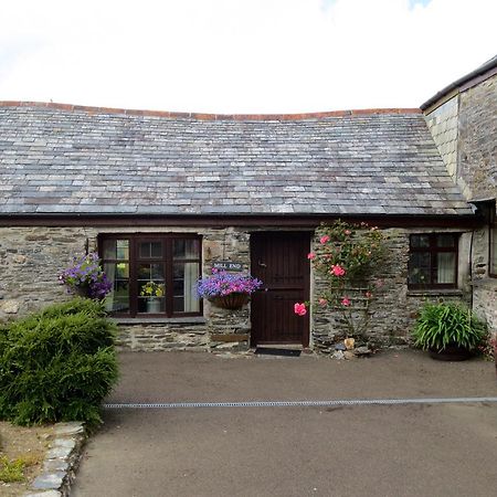 Courtyard Farm Cottages Mill End Boscastle Exteriör bild